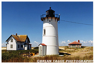 RACE POINT LIGHT