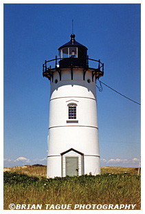 RACE POINT LIGHT