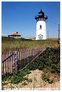 RACE POINT LIGHT