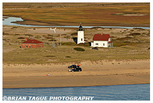 RACE POINT LIGHT