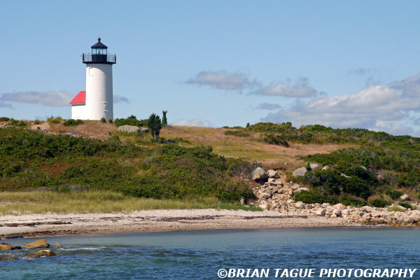 TarpaulinCoveLight-361_6124