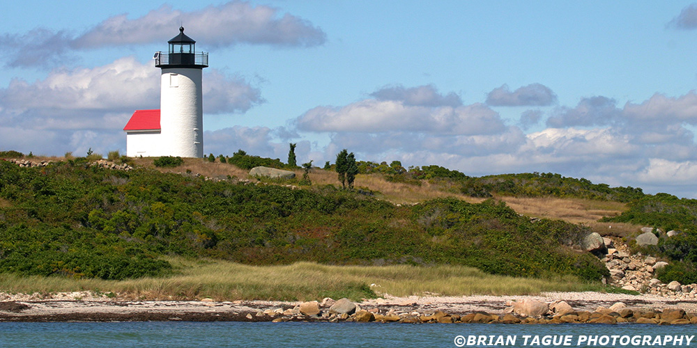 TarpaulinCoveLight-361_6138