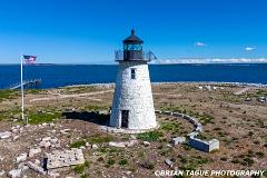 BirdIslandLight-202410-0912-crp1-150-6