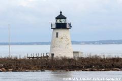 BirdIslandLight-434 3772-150-4