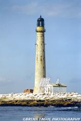BoonIslandLight-630-13-150-4