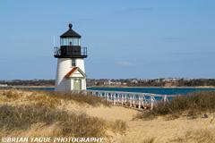 BrantPointLight-425 8119-150-4