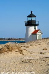 BrantPointLight-425 8132-150-4