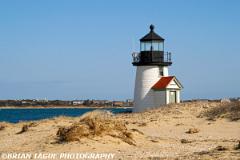 BrantPointLight-425 8134-150-4