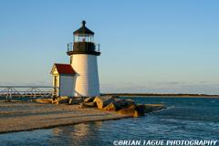 BrantPointLight-425 8356-150-4