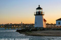 BrantPointLight-425 8498-150-4