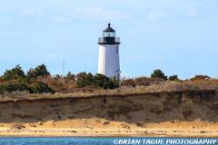 CapePogeLight-441 1237-150-4