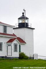 FortPointLight-433 6133-crp1-150-4