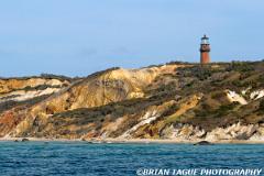 GayHeadLight-434 4060-150-4