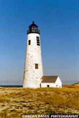 GreatPointLight-173-06-150-4