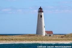 GreatPointLight-441 1134-150-4