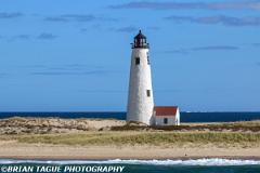 GreatPointLight-441 1179-150-4