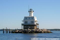 LongBeachBarLight-377 7800-150-4