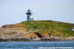 PondIslandLight-168 6889-150-4
