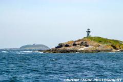 PondIslandLight-169 6941-150-4