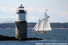RamIslandLight-422 5133-crp1-150-4