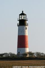 SankatyHeadLight-425 8864-150-4