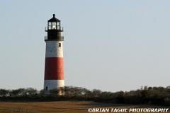 SankatyHeadLight-425 8875-150-4