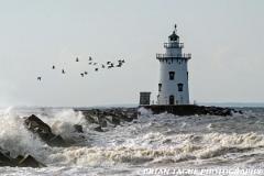 SaybrookBreakwaterLight-226 2661-crp1-150-4