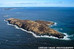 SeguinIslandLight-386 8644-150-4