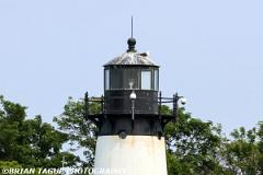 TenPoundIslandLight-456 3083-150-4