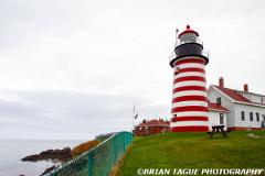 WestQuoddyHeadLight-433 5976-150-4