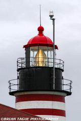 WestQuoddyHeadLight-433 6009-crp1-150-4