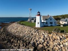 WingsNeckLight-A510-1294-150-4